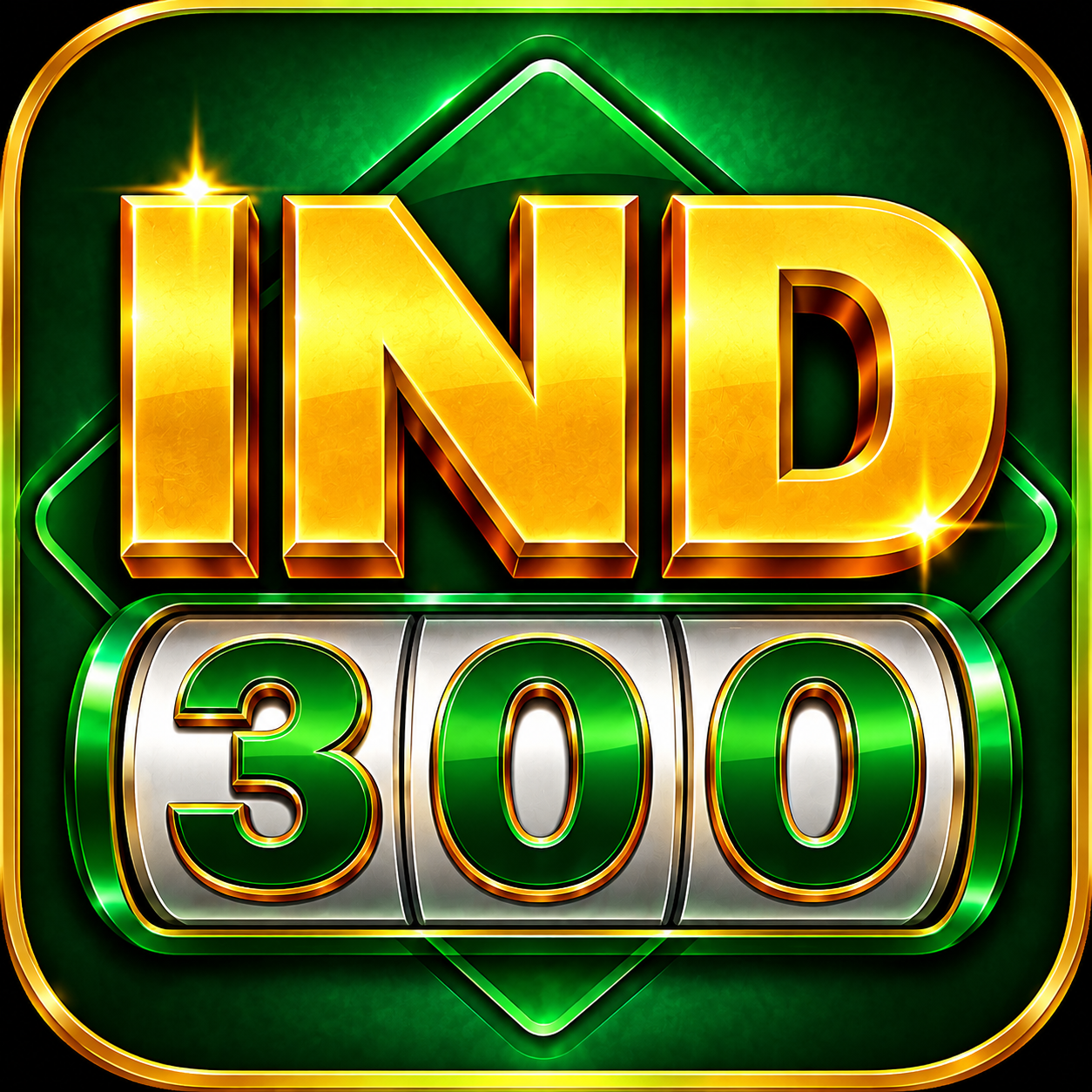 IND 300 Icon
